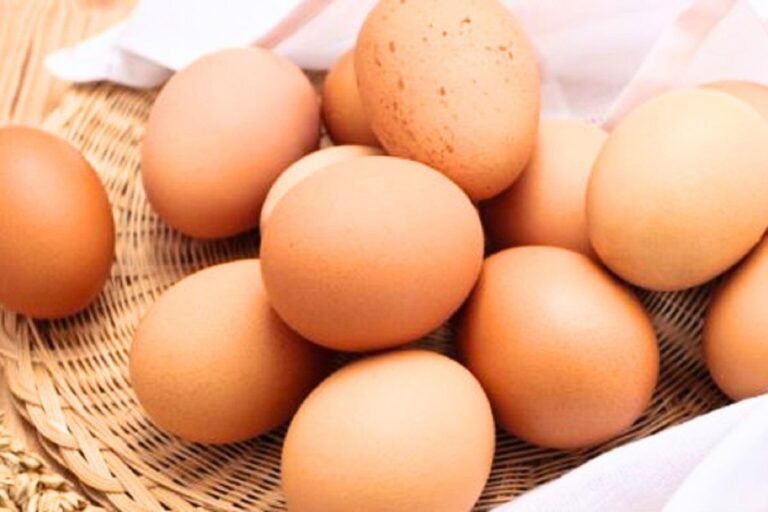 Egg safety warning: the common habit that actually promotes bacteria growth